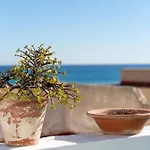 Terrace La Mata