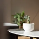 Terrace La Mata * Торевьиа