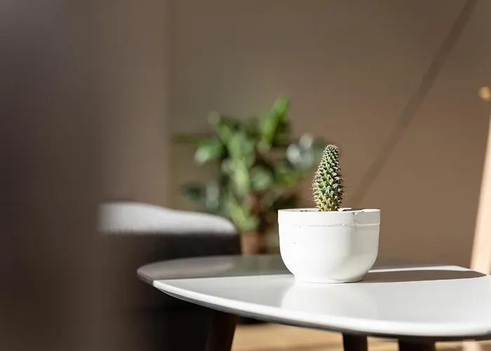 Terrace La Mata * Torrevieja