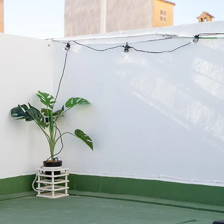 Terrace La Mata * 托雷维耶哈