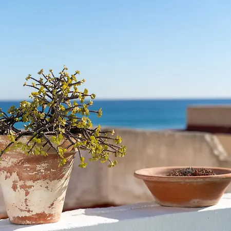 Terrace La Mata