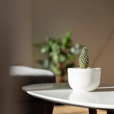 Terrace La Mata * 托雷维耶哈