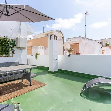 公寓 Terrace La Mata