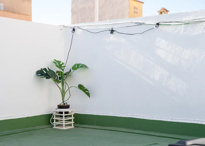 Terrace La Mata * Torrevieja